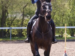 IMG_1793_web